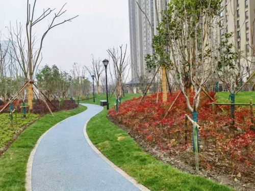 杭州新添社区公园 滨康综合体南绿地景观提升工程全面完工